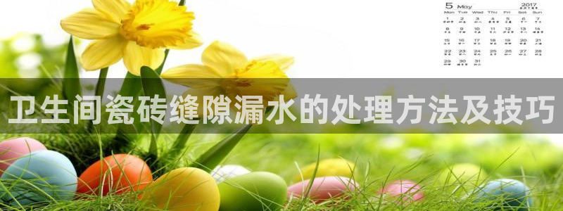 和记黄埔 官网：卫生间瓷砖缝隙漏水的处理方法及技巧