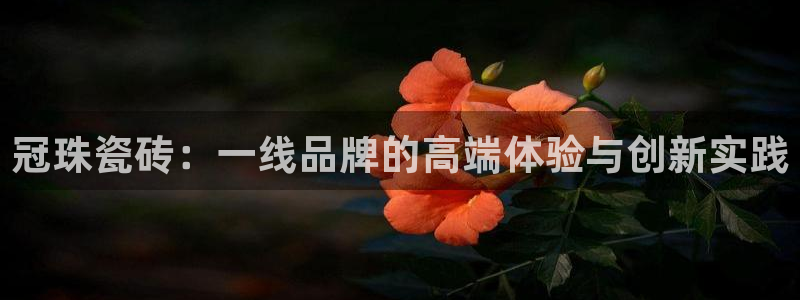 澳门和记 官网