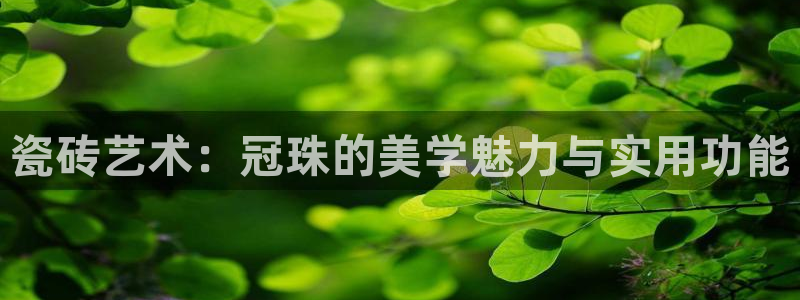 和记万佳国际家居城官网