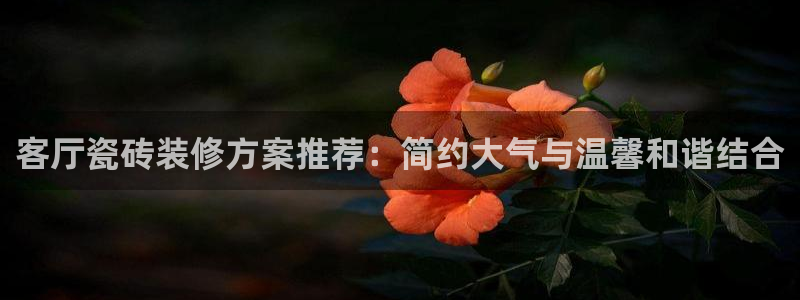 和记h188怡情官网