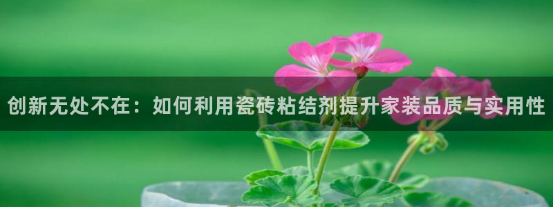 毛记和意冒菜官网加盟