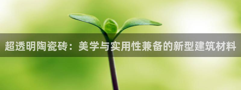 和记日化官网