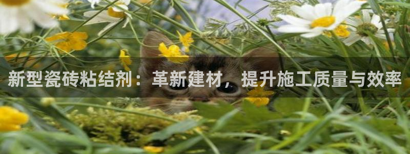 印尼和记官网