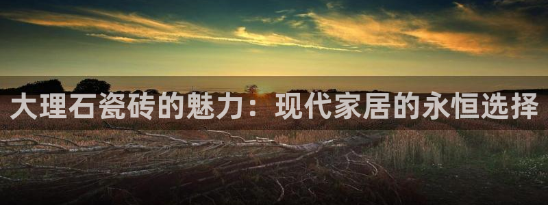 和记怡情官网