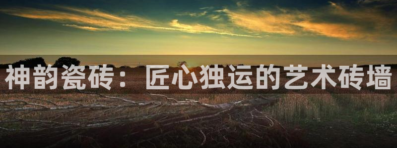 和记娱实惠h88285官网