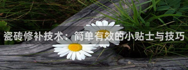 和记官网app是谁的