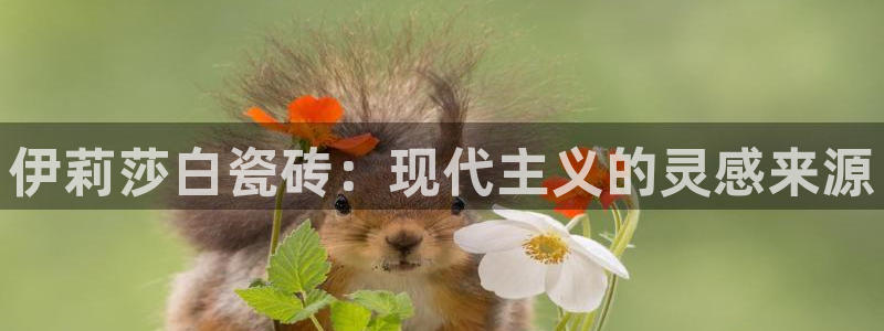 和记娱乐怡情官网
