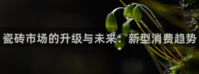 和记奥普泰 官网
