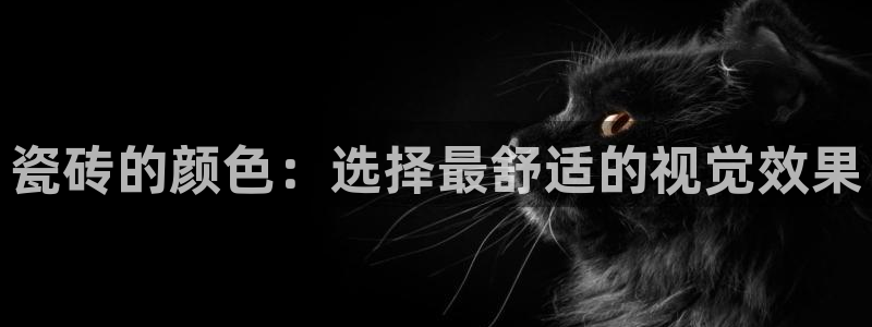 下载和记官网