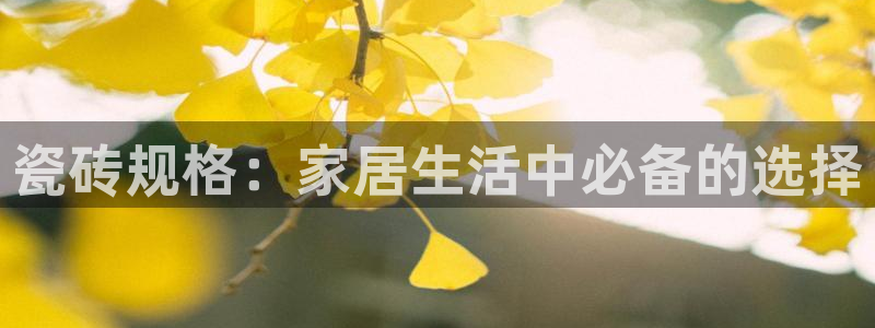 和记国际官网首页