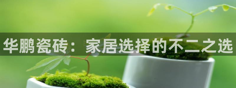 和记app官网登录