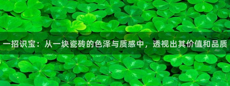 和记环球电讯官网