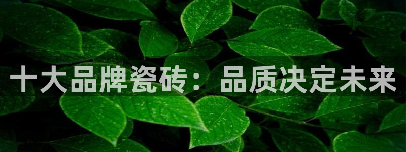 和记黄埔 官网
