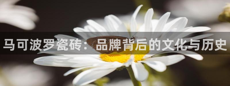 郑州和记酒业官网