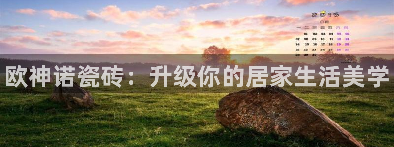 和记家家加盟官网