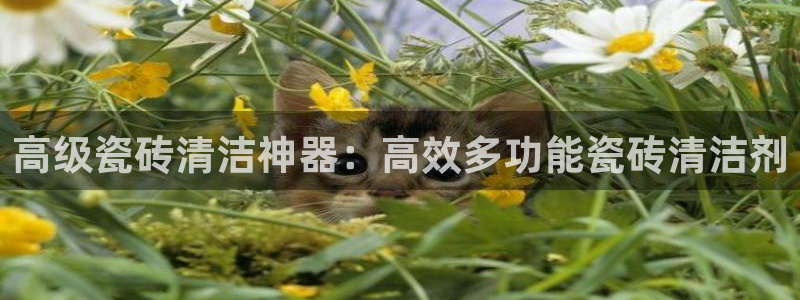 和记官网官网入口