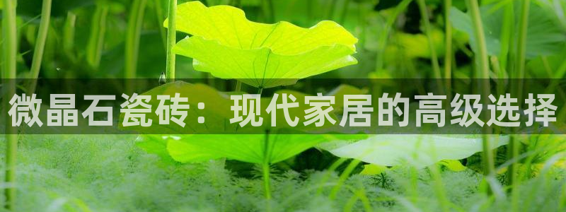 和记黄埔武汉官网