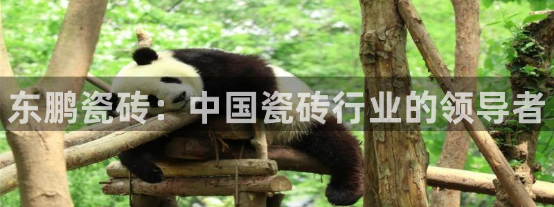 和记娱可信赖h88285官网