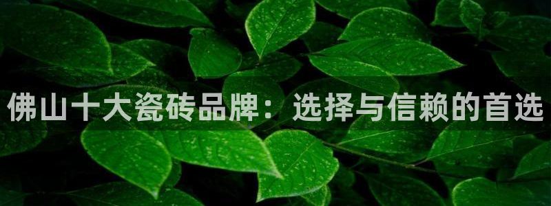 澳门和记官网