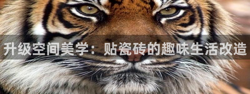 澳门和记官网娱乐场