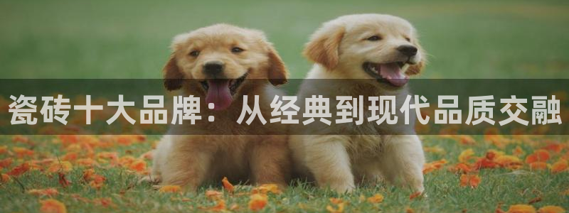 和记国际电讯官网