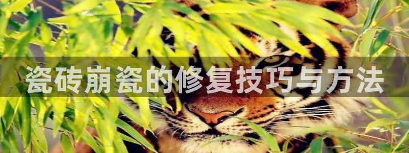 澳门和记平台官网