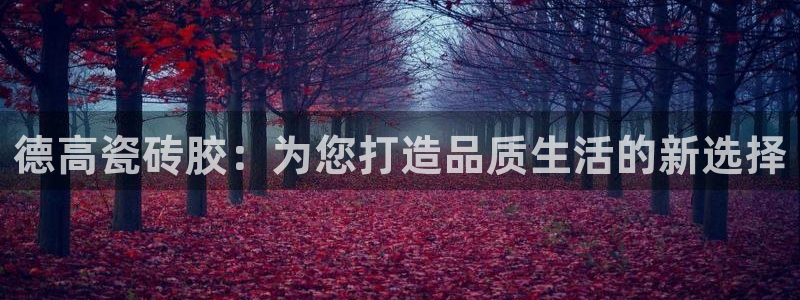 和记怡情视频官网