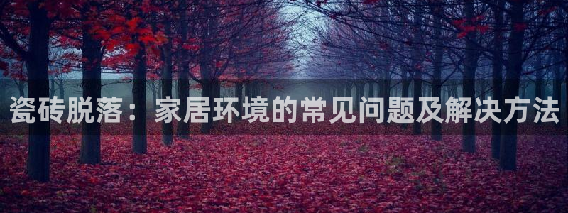 上海和记黄埔官网