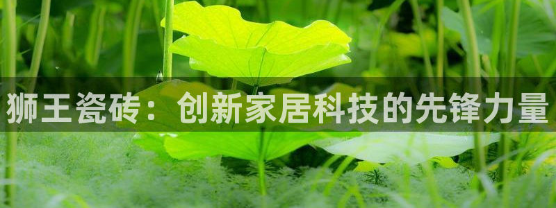 和记3电讯 官网