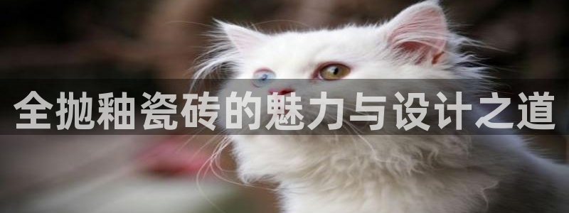 江苏和记伟业官网