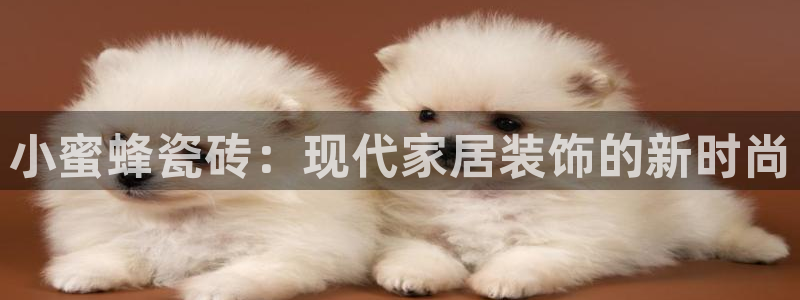 和记官网怡情娱乐