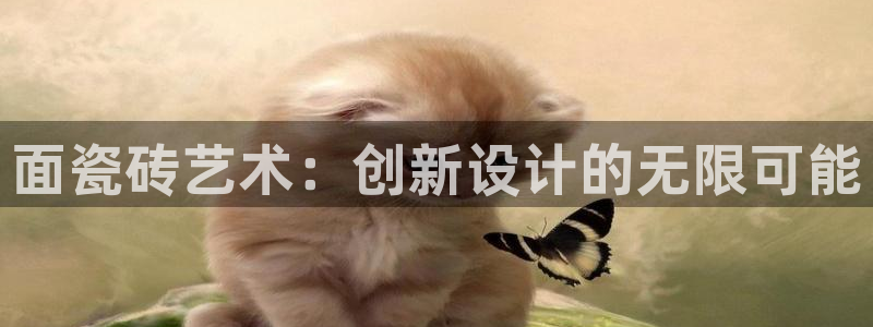 和记h1888怡情官网