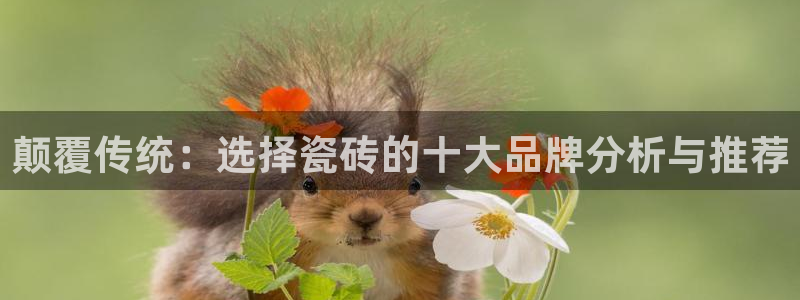 和记混凝土官网