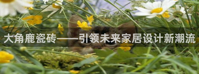 和记娱哪个位置h88285官网