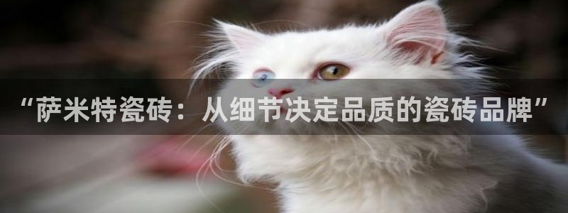 香港3和记官网