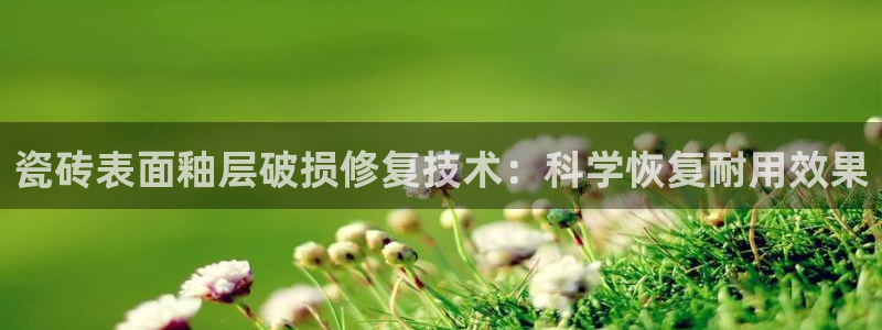 和记怡情官网