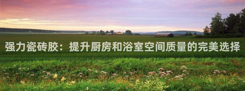 和记国际官网
