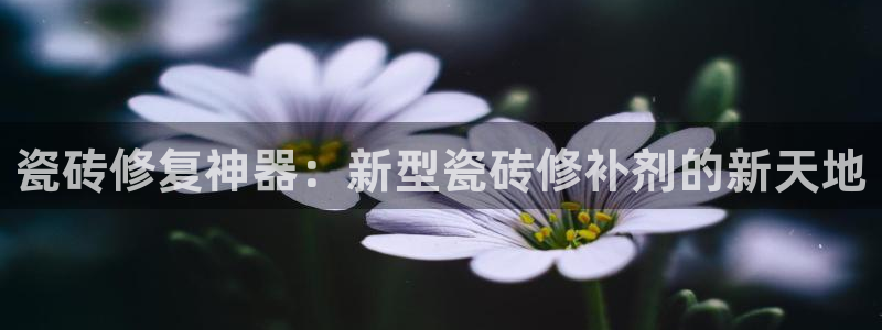 hgc和记官网