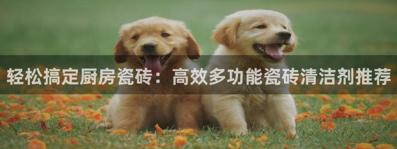 和记游戏官网
