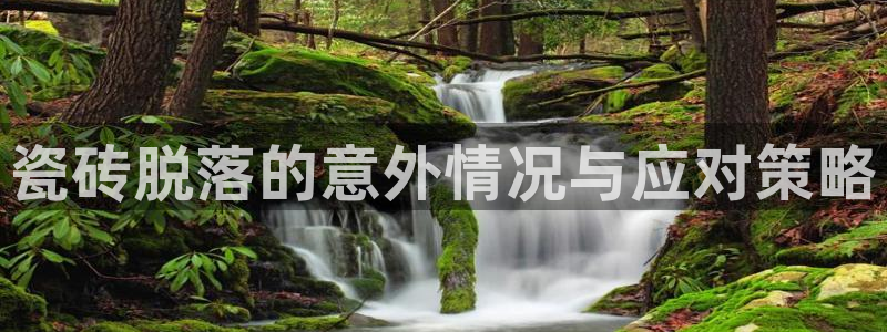 和行记义工网官网