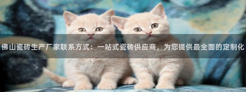和记官网开户 银博网