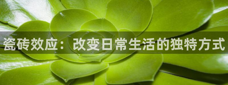 和记开户官网