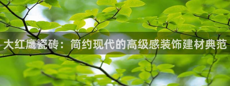 缅甸和记官网