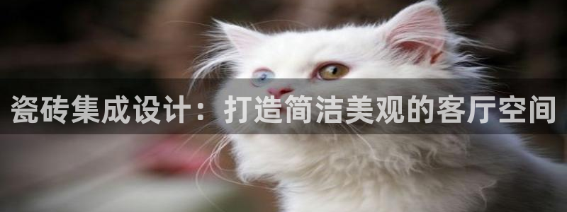 和记娱安全h88285官网