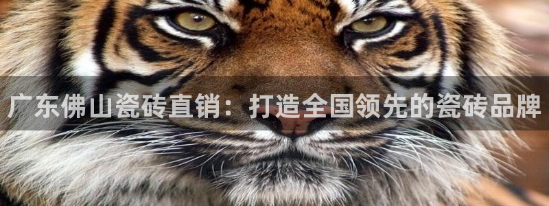 和记官网充值