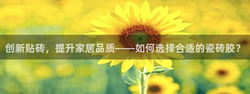 和记黄浦官网