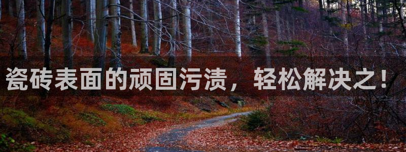 胡和记面官网