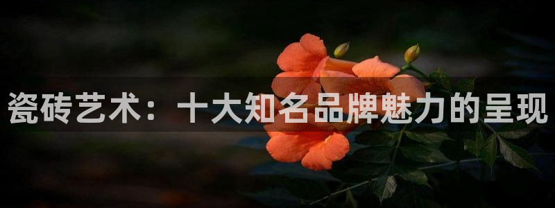 和记手机官网