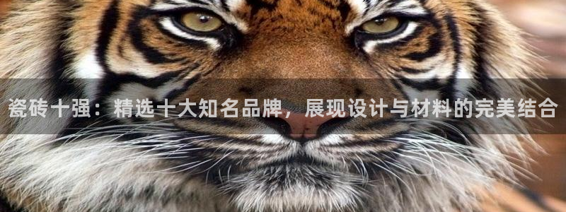 和记大合城dk2官网