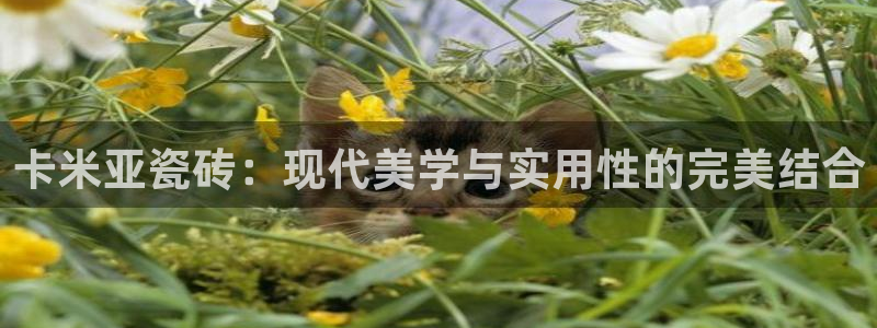 和记娱解答h88285官网